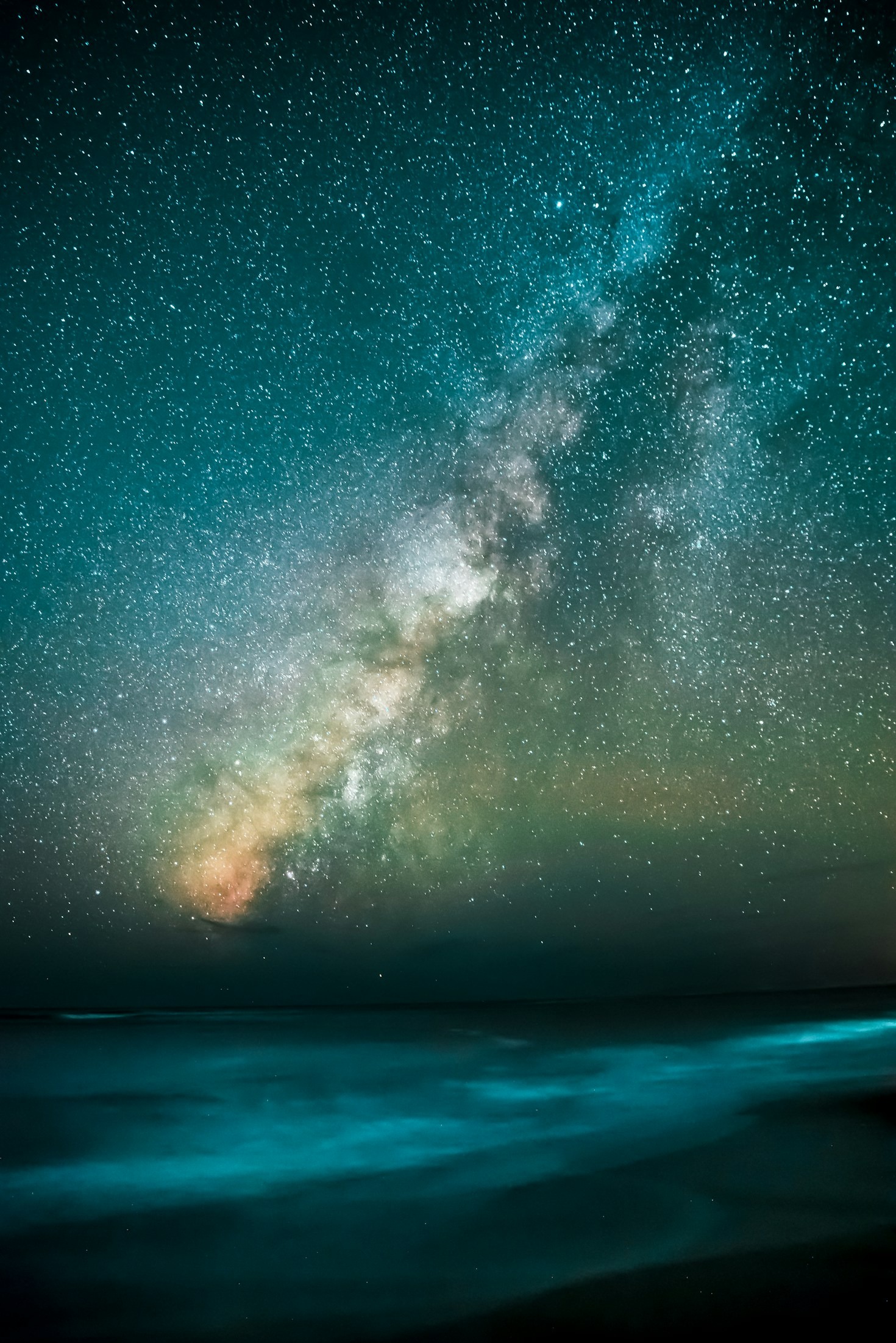 The Hidden Costs of Light Pollution