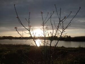 NvdD Puurs-Sint-Amands