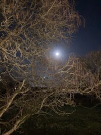 NvdD Puurs-Sint-Amands